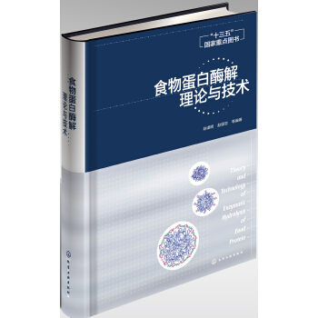 食物蛋白酶解理论与技术 pdf epub mobi 下载