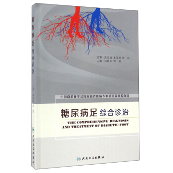 糖尿病足综合诊治 pdf epub mobi 下载