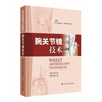 腕关节镜技术 pdf epub mobi 下载