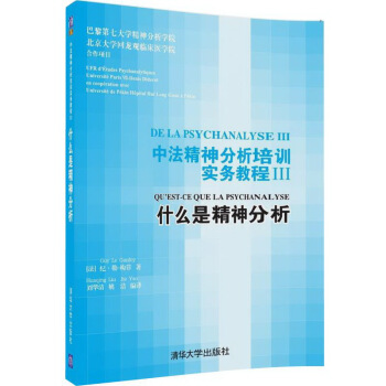 中法精神分析培訓實務教程III：什麼是精神分析 pdf epub mobi 下载