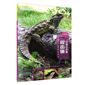 動物目擊者：楔齒蜥（兒童版） [7-12歲] pdf epub mobi 下载