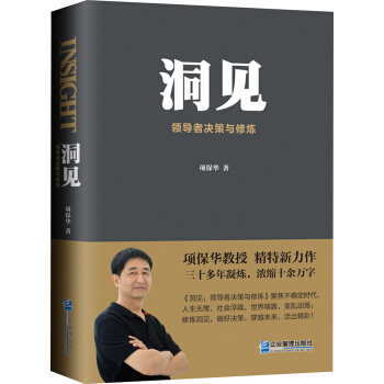 洞见：领导者决策与修炼 pdf epub mobi 下载
