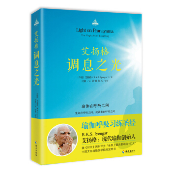 艾扬格调息之光 pdf epub mobi 下载