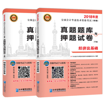 2018年全国初级会计职称考试真题题库与押题试卷 ：初级会计实务+经济法基础（套装共2册） pdf epub mobi 下载
