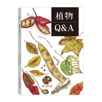 自然观察丛书：植物Q&A pdf epub mobi 下载