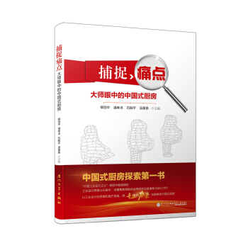 捕捉痛點——大師眼中的中國式廚房 pdf epub mobi 下载