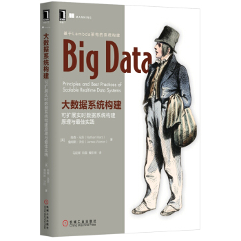大數據係統構建：可擴展實時數據係統構建原理與最佳實踐 pdf epub mobi 下载