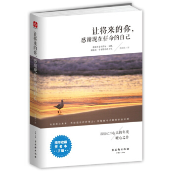 让将来的你，感谢现在拼命的自己 pdf epub mobi 下载