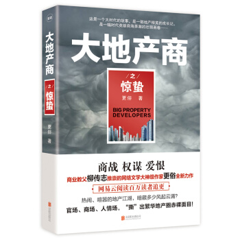 大地产商之惊蛰 pdf epub mobi 下载