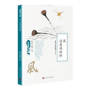 同题散文经典：风 这是风刮的 pdf epub mobi 下载