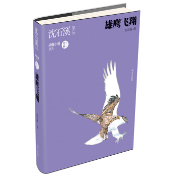 瀋石溪作品——雄鷹飛翔 [小學中高年級] pdf epub mobi 下载