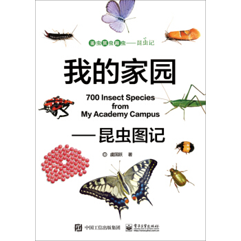 我的家园 昆虫图记 pdf epub mobi 下载