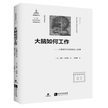 大脑如何工作 pdf epub mobi 电子书 下载