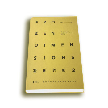 凝固的時空：琥珀中的昆蟲及其他無脊椎動物 pdf epub mobi 下载