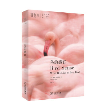鸟的感官 pdf epub mobi 下载