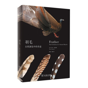 羽毛：自然演化中的奇迹 pdf epub mobi 下载
