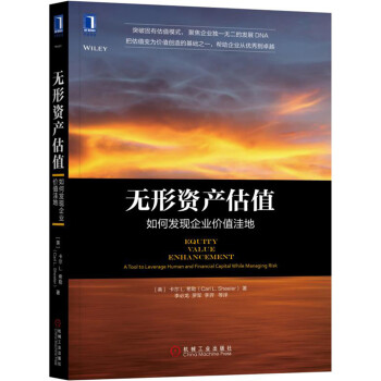 無形資産估值：如何發現企業價值窪地 [Equity Value Enhancement: A Tool to Leverage Human] pdf epub mobi 下载