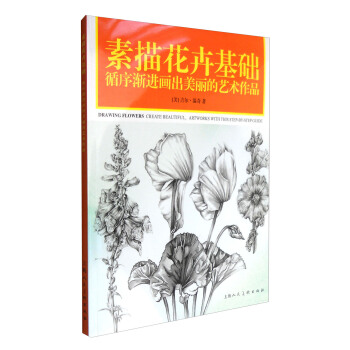 素描花卉基础：循序渐进画出美丽的艺术作品 [Drawing Flowers:Create Beautiful,Artworks with this Step-By-Step Guide] pdf epub mobi 下载