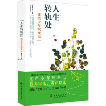 教育新探索系列--人生转轨处——迷茫少年蜕变记 pdf epub mobi 下载