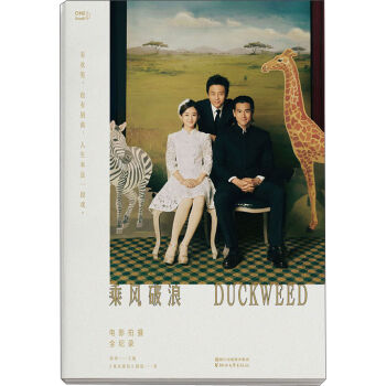 乘风破浪：电影拍摄全纪录 pdf epub mobi 电子书 下载