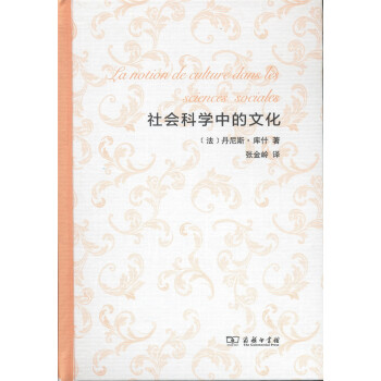社會科學中的文化