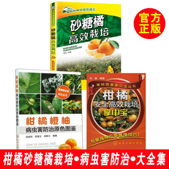 【正版书籍】砂糖橘高效栽培 高效种植直通车 病虫害防治 砂糖橘灾害性天气的预防 农药的稀 pdf epub mobi 电子书 下载