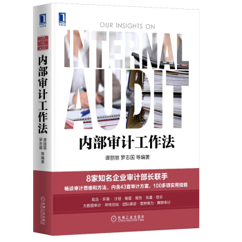 内部审计工作法 pdf epub mobi 下载