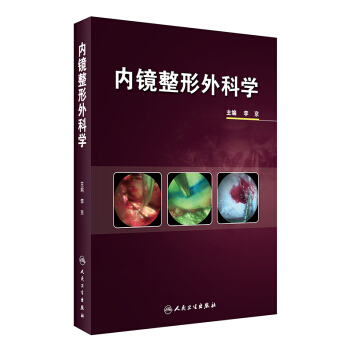 内镜整形外科学 pdf epub mobi 下载