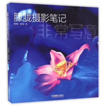 朦朧攝影筆記 pdf epub mobi 下载