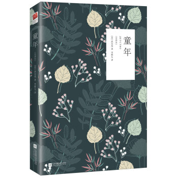 童年（俄中直譯 無刪節全譯版） pdf epub mobi 電子書 下載