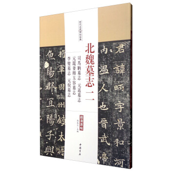 历代名家碑帖经典：北魏墓志二 司马昞墓志元遥墓志元珽妻穆玉容墓志李璧墓志元倪墓志 pdf epub mobi 下载
