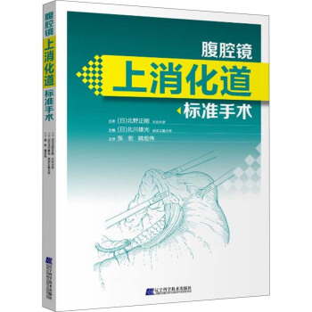腹腔镜上消化道标准手术 pdf epub mobi 下载