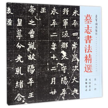 墓誌書法精選（第八冊）元囧墓誌 裴敬墓誌 pdf epub mobi 電子書 下載