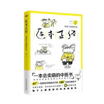 医本正经 pdf epub mobi 下载