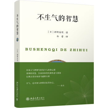 不生氣的智慧 pdf epub mobi 下载