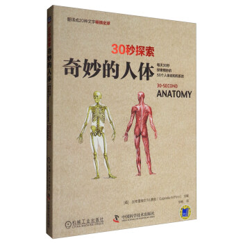 30秒探索：奇妙的人体 pdf epub mobi 下载