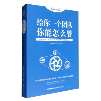 思维格局文库：给你一个团队 你能怎么管 pdf epub mobi 电子书 下载