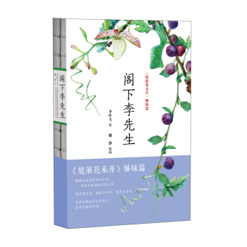 阁下李先生 pdf epub mobi 下载