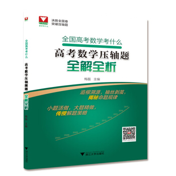 全國高考數學考什麼：高考數學壓軸題全解全析 pdf epub mobi 下载