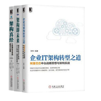 企業IT架構轉型之道：阿裏巴巴中颱戰略思想與架構實戰+架構真經+架構即未來 pdf epub mobi 下载
