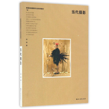 当代摄影/普通高校摄影专业系列教材 pdf epub mobi 下载