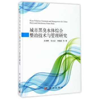 城市黑臭水体综合整治技术与管理研究 pdf epub mobi 下载