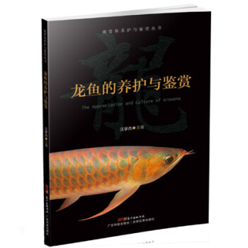 龙鱼的养护与鉴赏 龙鱼养殖技术书籍大全 高效养龙鱼 龙鱼常见疾病防治 常见龙鱼鉴赏图书 龙