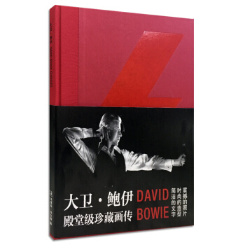 大衛·鮑伊 pdf epub mobi 下载