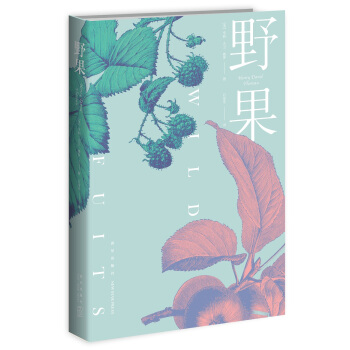 野果 pdf epub mobi 下载