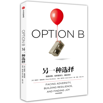 另一种选择 pdf epub mobi 下载