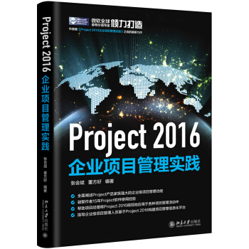Project 2016企业项目管理实践 pdf epub mobi 下载