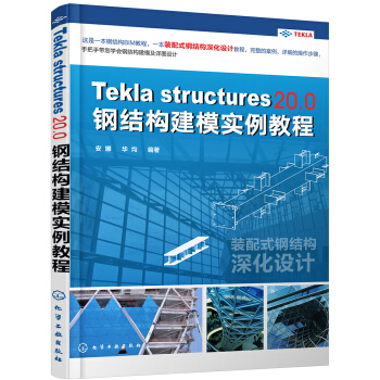 Tekla Structures 20.0 钢结构建模实例教程 pdf epub mobi 电子书 下载