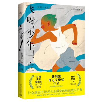 飞呀，少年！ pdf epub mobi 下载