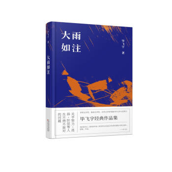 大雨如注 pdf epub mobi 电子书 下载